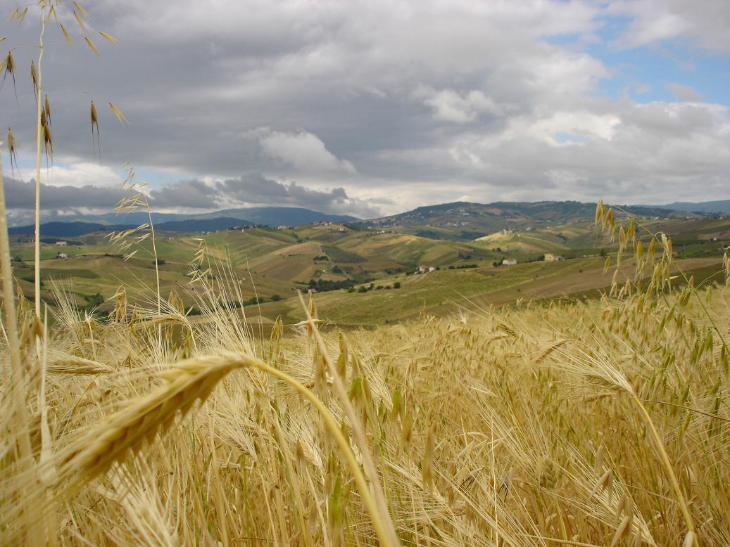 Abruzzo-Gissi